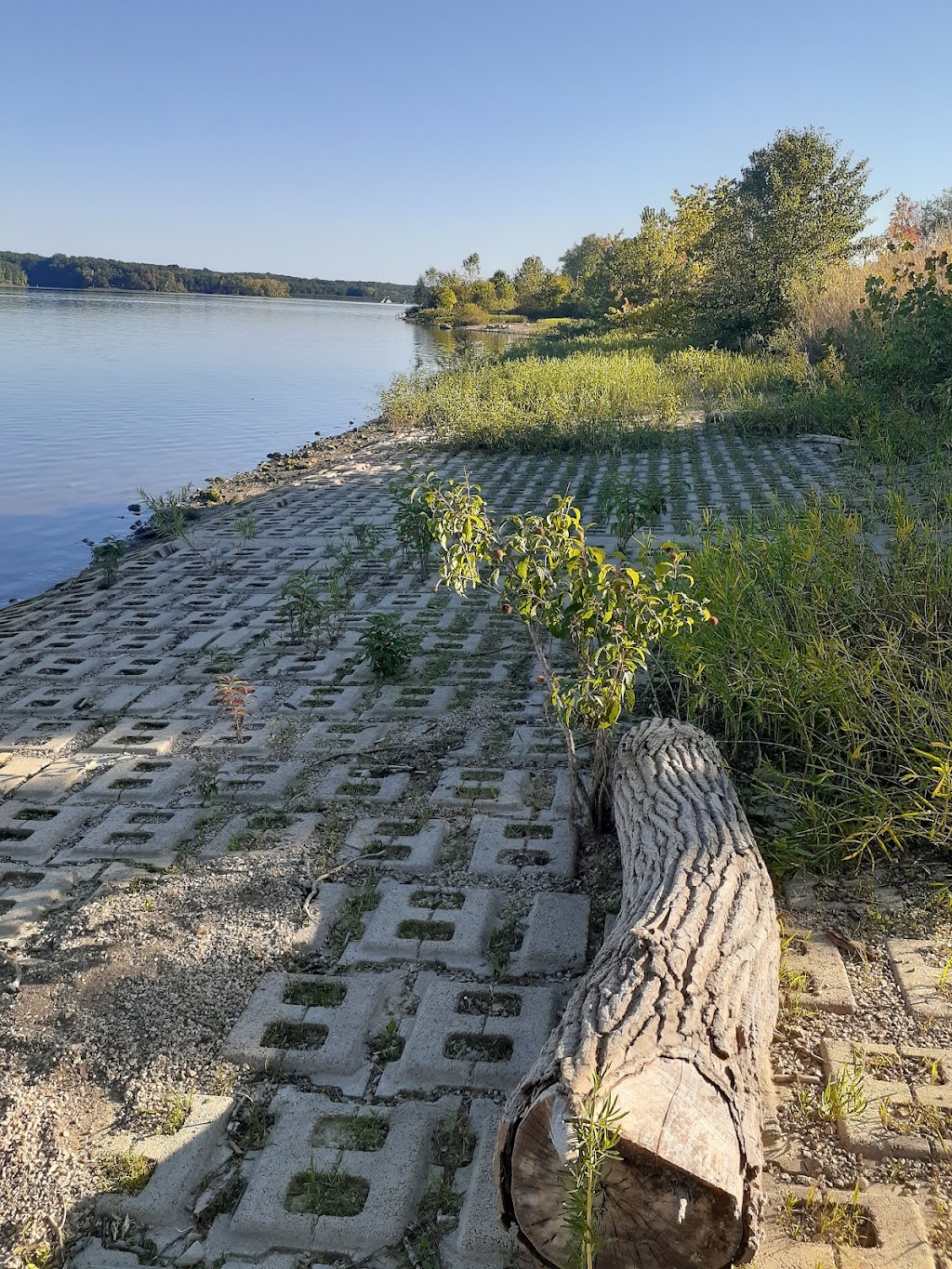 Hoover Dam Nature Trail | 7333-, 7449 Cubbage Rd, Westerville, OH 43081, USA | Phone: (614) 648-6019