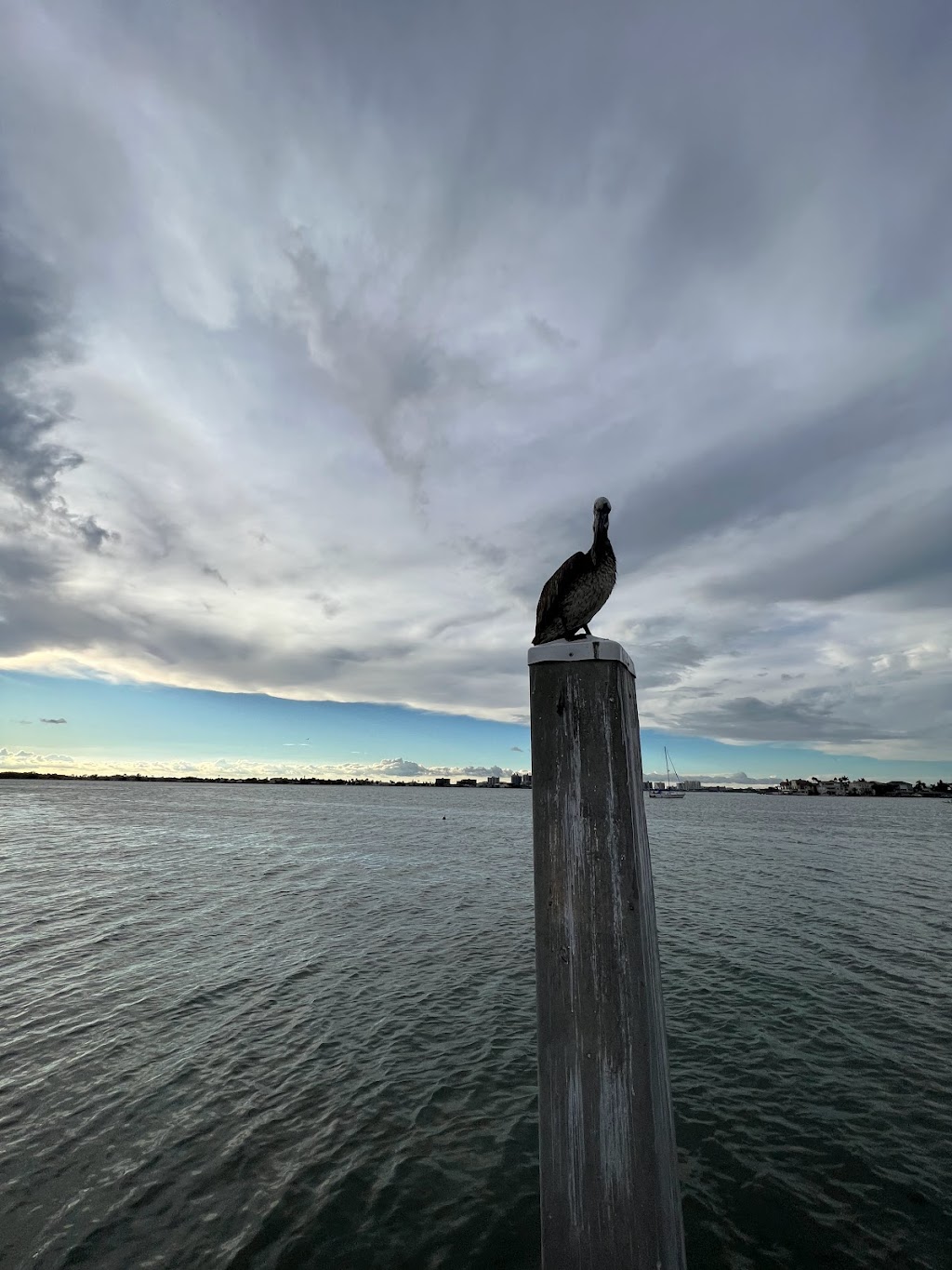 Belleair Causeway Boat Ramp | 541S Belleair Causeway, Largo, FL 33770, USA | Phone: (727) 687-7151