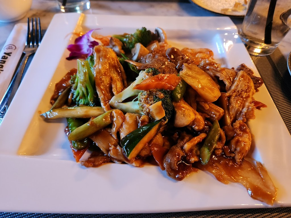 Yangs Asian Bistro | 594 Loudon Rd, Latham, NY 12110, USA | Phone: (518) 785-2626