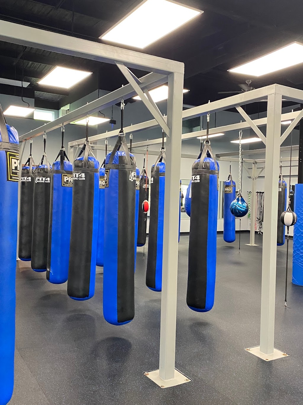 Fit 4 Boxing Club II | 5549 Old William Penn Hwy, Murrysville, PA 15632 | Phone: (724) 575-7486