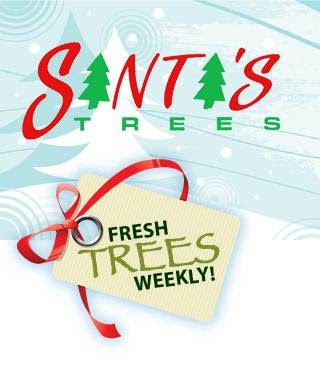 Santas Christmas Trees | 525 New Shackle Island Rd, Hendersonville, TN 37075, USA | Phone: (615) 467-4001