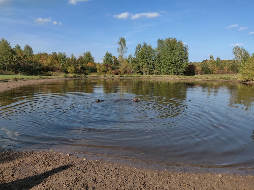 Cleary Lake Dog Park | 19011 Highview Ct, Prior Lake, MN 55372, USA | Phone: (763) 559-9000