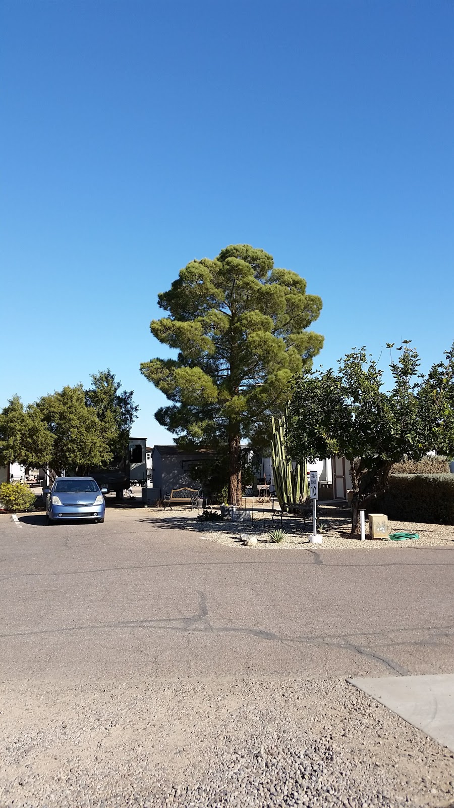 SKP Co-Op Retreat Inc | 3241 S Montgomery Rd, Casa Grande, AZ 85193, USA | Phone: (520) 426-3589