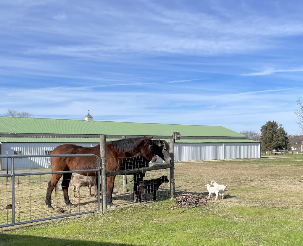 Starlite Stables | 1426 Blair Farm Rd, Odenville, AL 35120 | Phone: (205) 790-6792