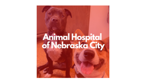 Animal Hospital of Nebraska City | 5791 G Rd, Nebraska City, NE 68410, USA | Phone: (402) 873-6648