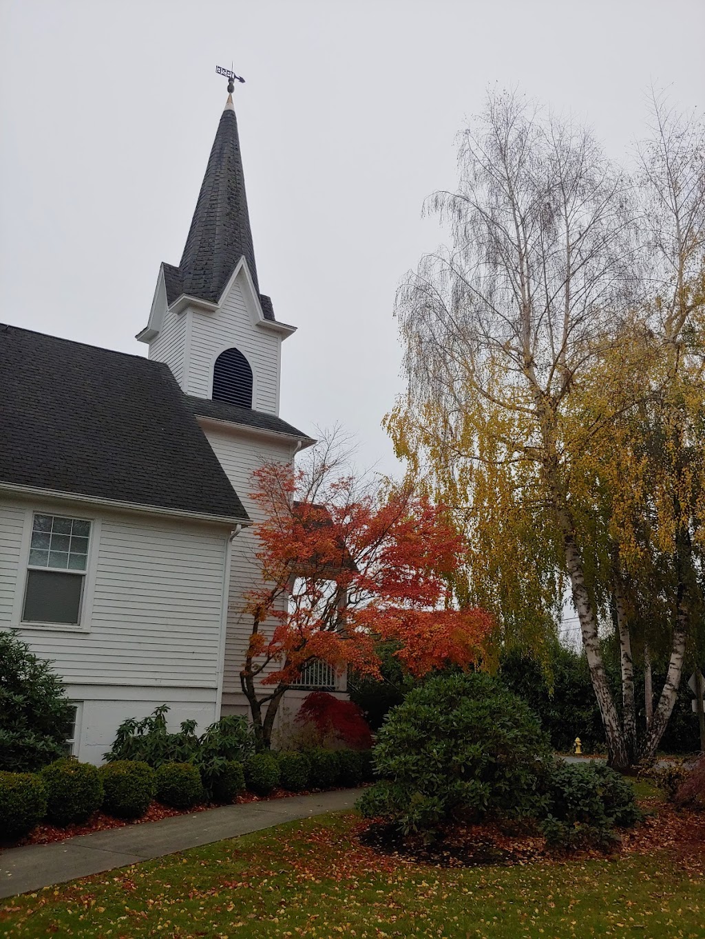 Mountain View Lutheran Church | 3505 122nd Ave E, Edgewood, WA 98372, USA | Phone: (253) 863-5171