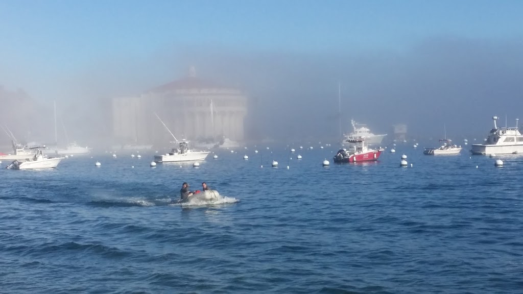 Catalina Island Visitor Center | 1 Green Pleasure Pier, Avalon, CA 90704, USA | Phone: (310) 510-1520