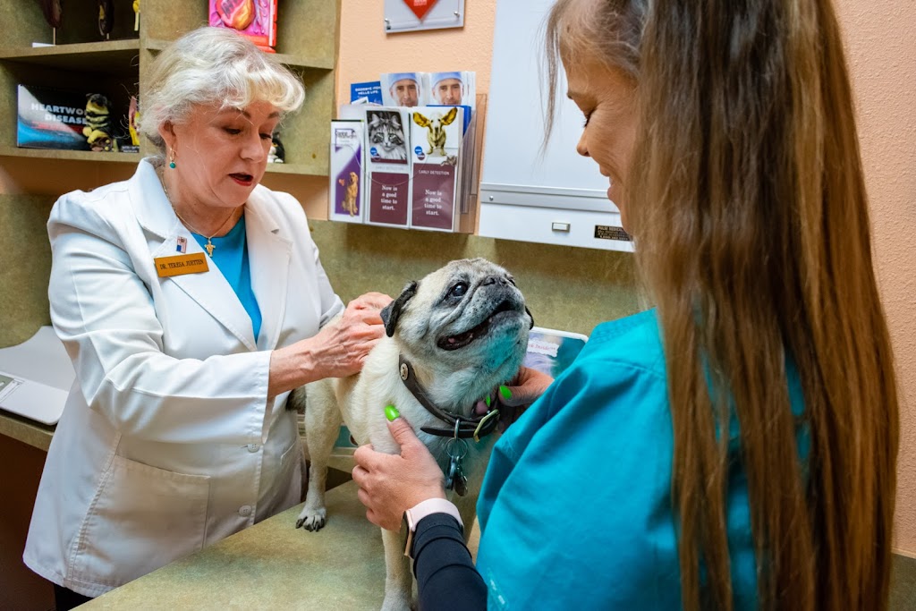 Animal Hospital At Terravita | 34462 N Scottsdale Rd Suite 100, Scottsdale, AZ 85266 | Phone: (480) 575-8347