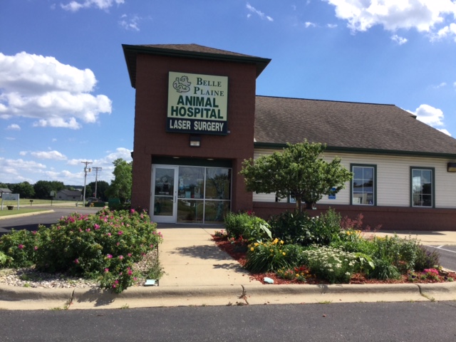 Belle Plaine Animal Hospital | 304 S Ash St, Belle Plaine, MN 56011, USA | Phone: (952) 873-8387