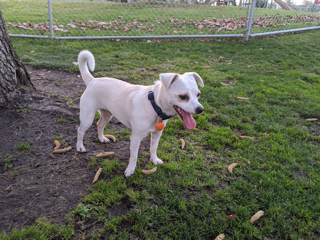 Larry J Marsalli Dog Park | 1425 Lafayette St, Santa Clara, CA 95050, USA | Phone: (408) 247-1988