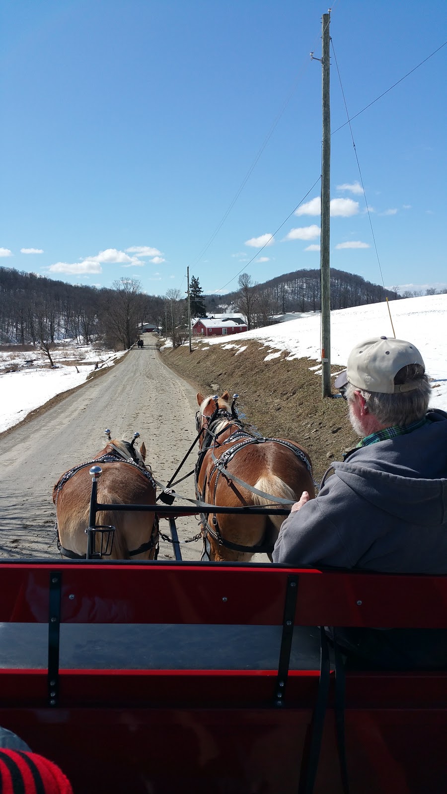 Dry Brook Sugar House | 432 Chambers Rd, Salem, NY 12865, USA | Phone: (518) 854-3955