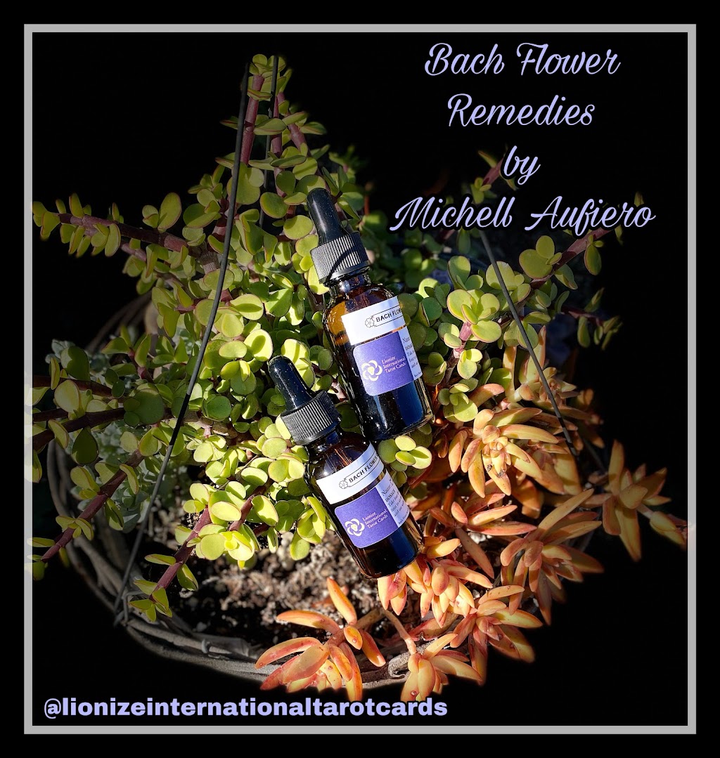 Michells Lionize International Tarot Cards | 1050 Arrington Cir, Oviedo, FL 32765, USA | Phone: (619) 305-9792