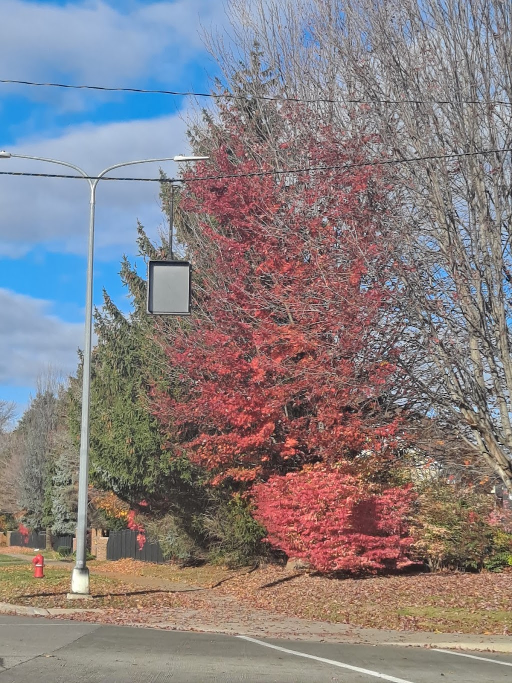 Ravinia Anchor Bay | 5407 Aloha Ln, Casco, MI 48064, USA | Phone: (586) 749-5169