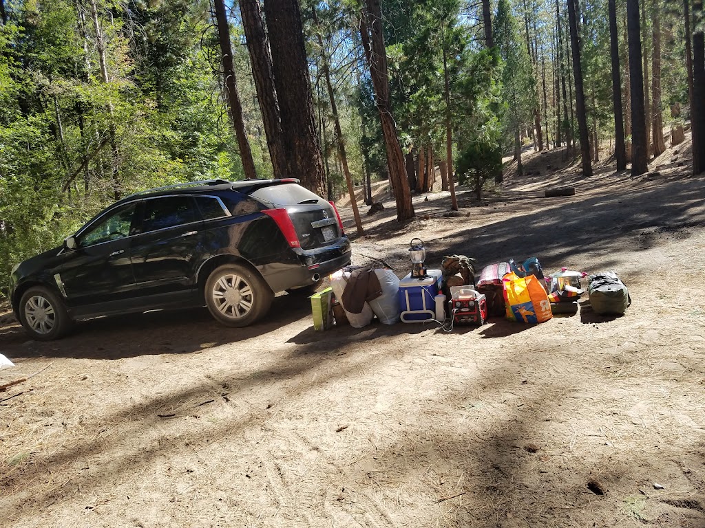 Lower Peppermint Campground | Forest Rte 22S82, Springville, CA 93265, USA | Phone: (559) 784-1500