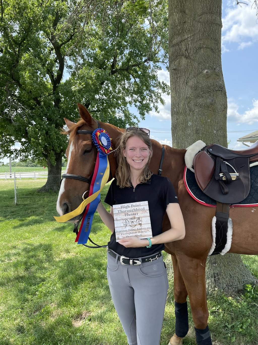 Briarstone Riding Academy | 3924 Floraville Rd, Waterloo, IL 62298 | Phone: (618) 719-9959