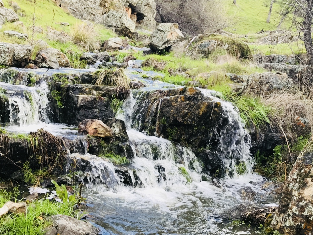 Spenceville Wildlife Area | 14936 Spenceville Rd, Penn Valley, CA 95946, USA | Phone: (530) 538-2236