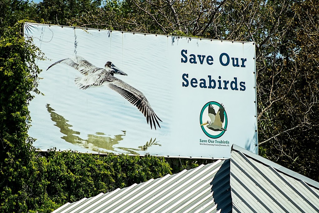 Save Our Seabirds | 1708 Ken Thompson Pkwy, Sarasota, FL 34236, USA | Phone: (941) 388-3010