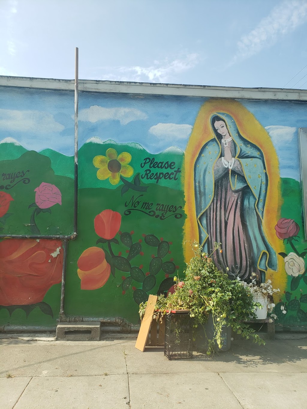 Guadalupana Market | 2062 Daly St, Los Angeles, CA 90031, USA | Phone: (323) 225-1954