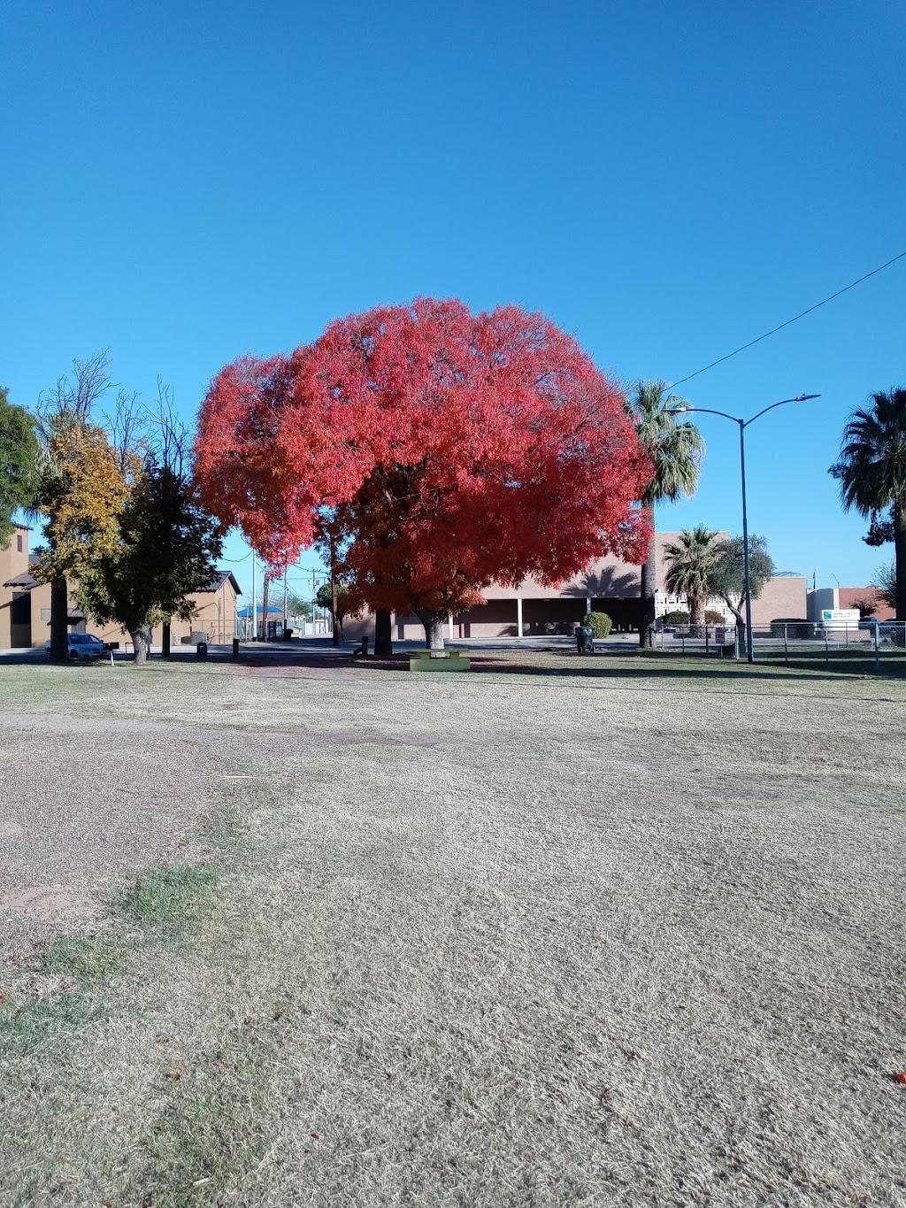 San Carlos Park | 300 W Central Ave, Coolidge, AZ 85128, USA | Phone: (520) 510-6178