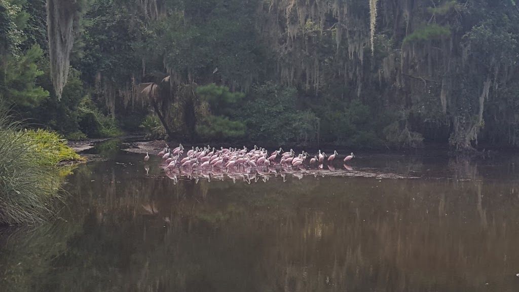 Drummond Point Park | 10 Drummond Point Place, Fernandina Beach, FL 32034, USA | Phone: (904) 491-9850