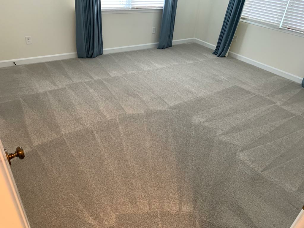 Reliable carpet cleaning | 11439 Cherry Hill Rd, Beltsville, MD 20705, USA | Phone: (240) 505-3572