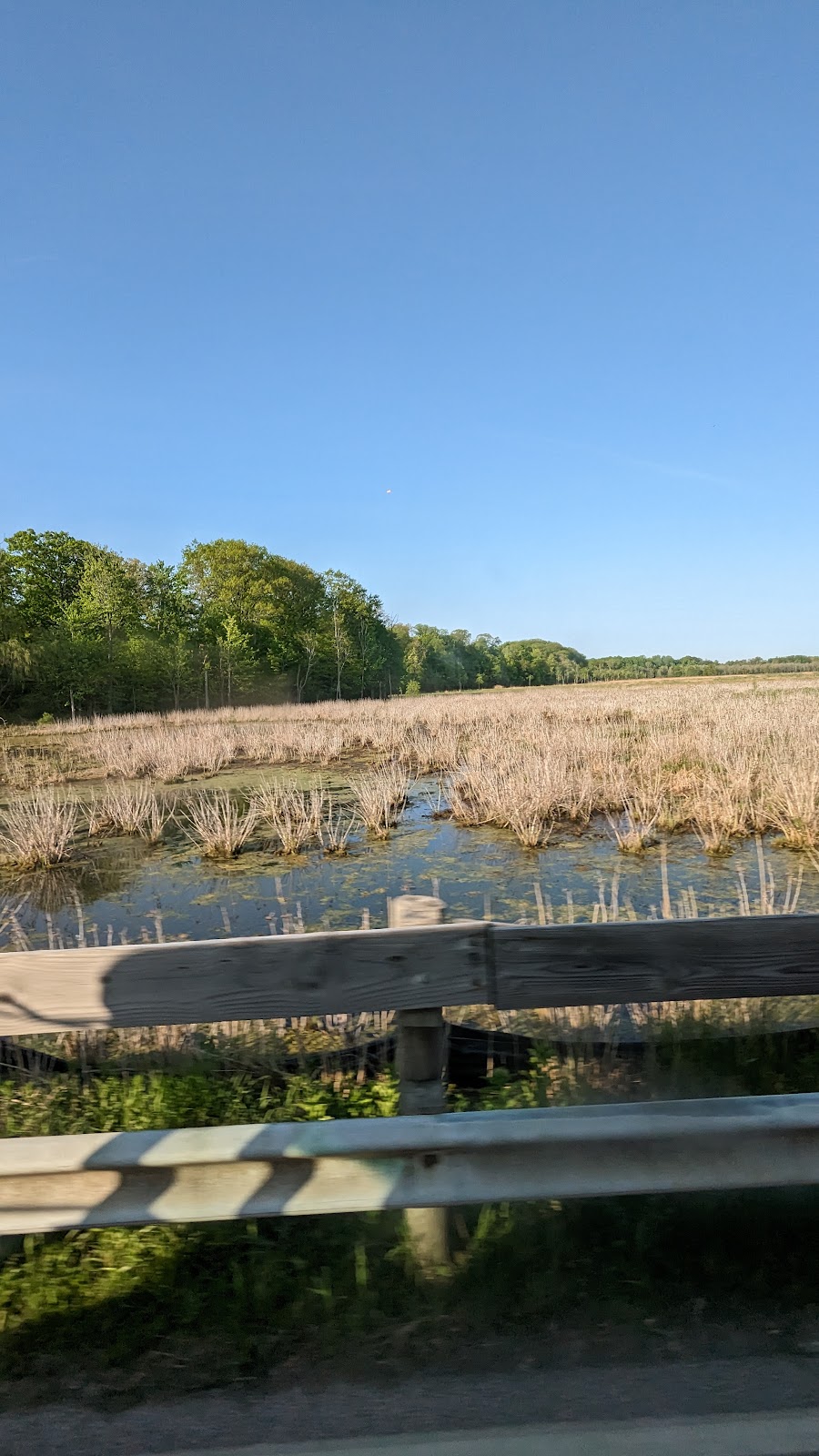 Mentor Marsh Nature Center | 5185 Corduroy Rd, Mentor, OH 44060, USA | Phone: (440) 257-0777