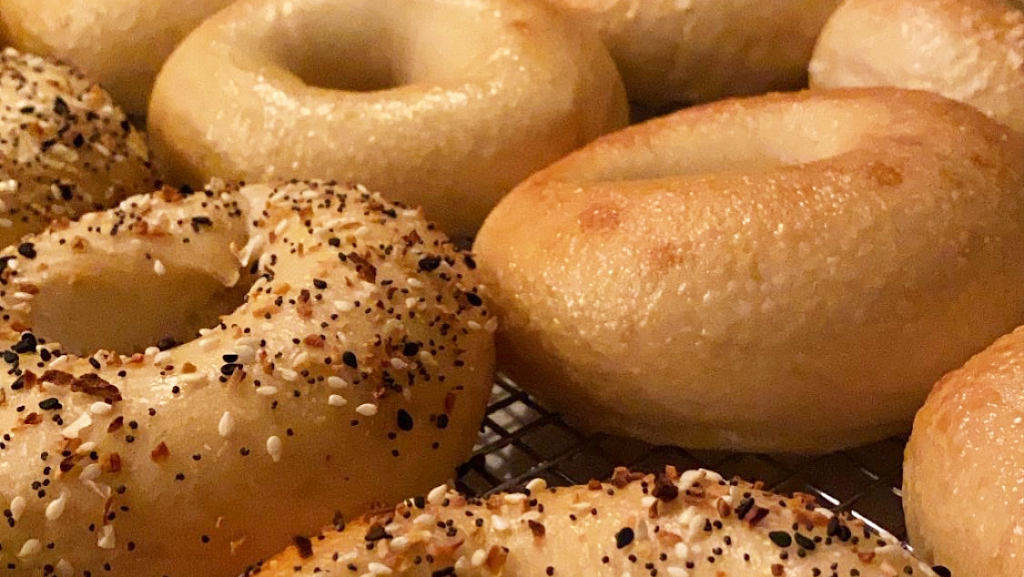 Jeffs Bagel Run | 5699 Mangrove Cove Ave, Winter Garden, FL 34787 | Phone: (954) 798-5977