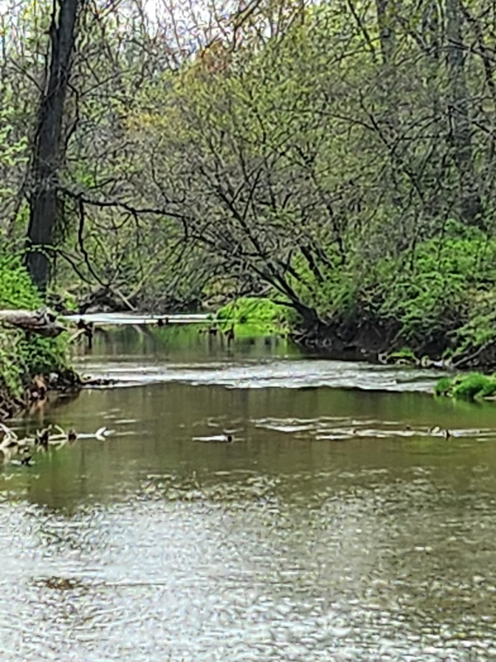 Jennings Chapel Parking, Patuxent River State Park | Woodbine, MD 21797, USA | Phone: (301) 924-2127