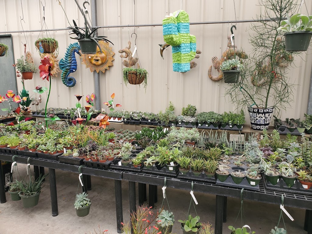 Plant Ranch Nursery | 14108 Beach Blvd, Jacksonville, FL 32250, USA | Phone: (904) 223-4546