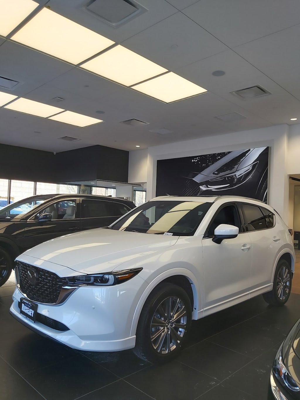 Ramsey Cars | Upper Saddle River, NJ 07458, USA | Phone: (201) 258-1550