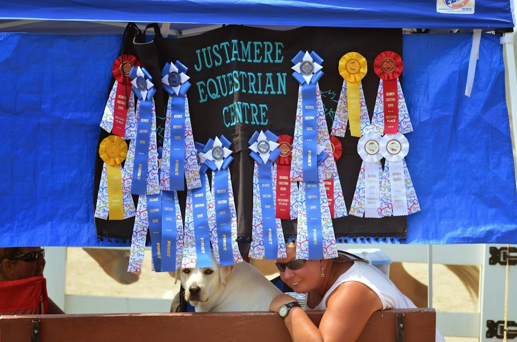 Justamere Equestrian Centre | 56295 Card Rd, Macomb, MI 48042, USA | Phone: (586) 295-1313