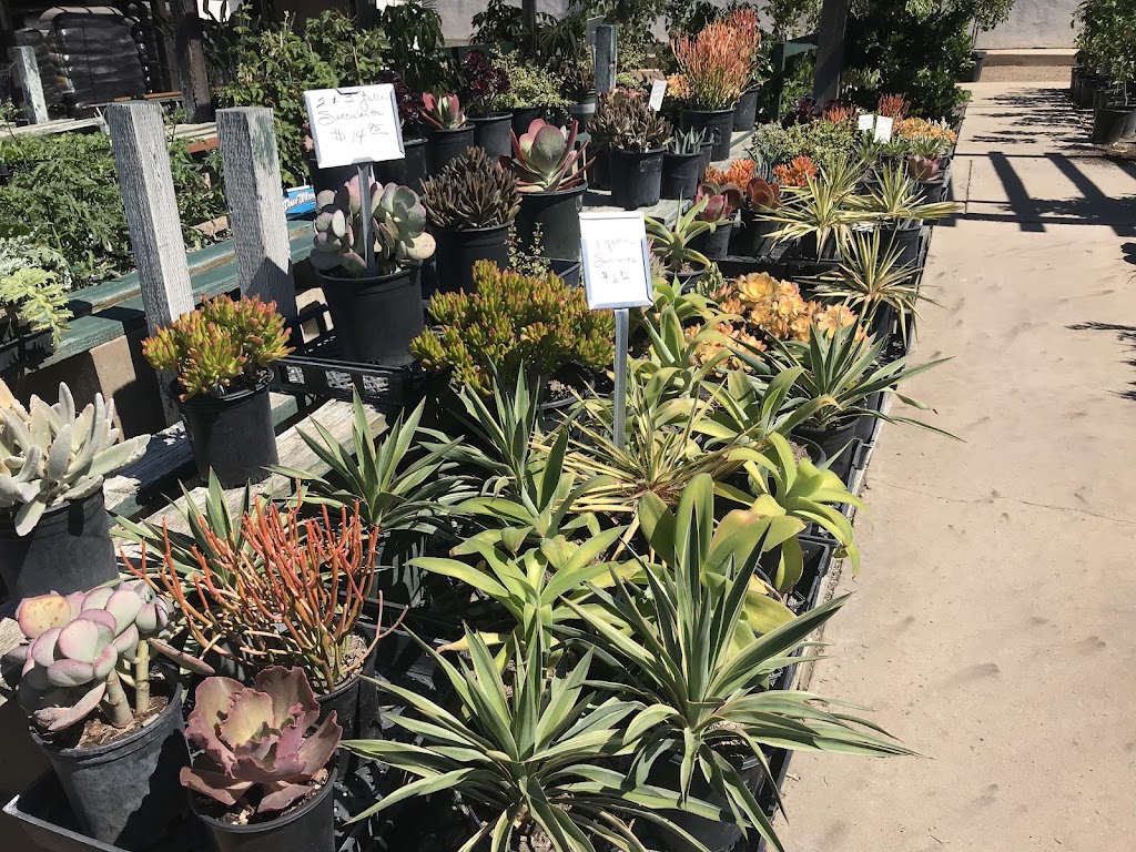 Plant House Nursery | 1163 N 2nd St, El Cajon, CA 92021, USA | Phone: (619) 442-2549