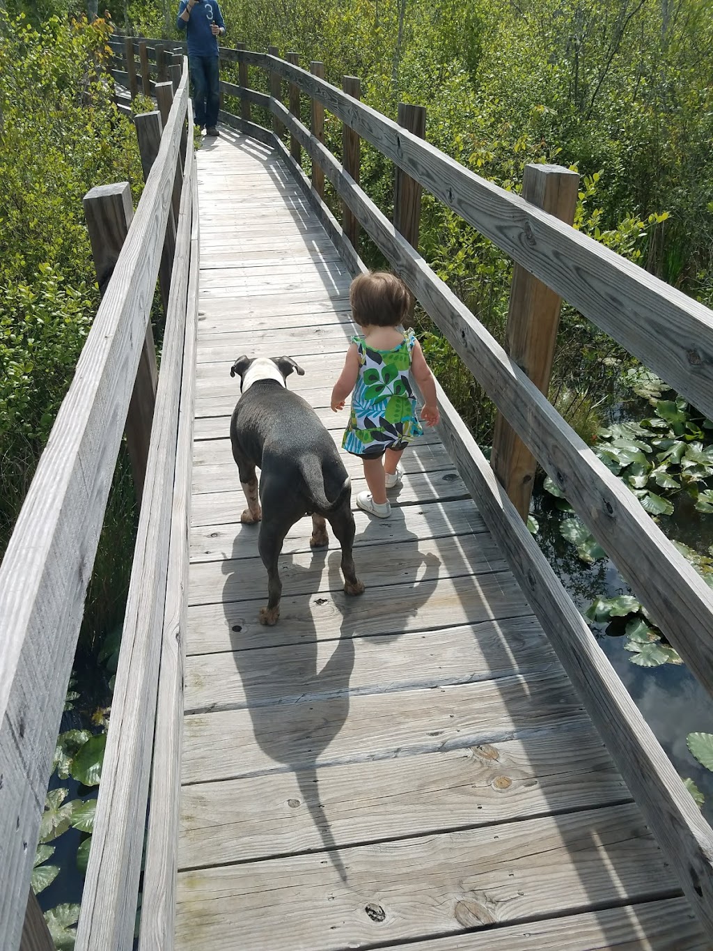 Nesmith Preserve - Starrs Mill Environmental Trail & Boardwalk | 101 Panther Path, Fayetteville, GA 30215, USA | Phone: (770) 486-7774