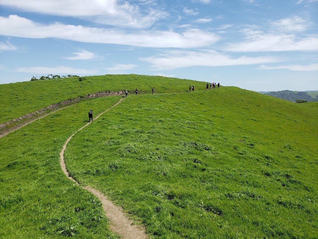 Wildcat Canyon Regional Park | 5755 McBryde Ave, Richmond, CA 94805, USA | Phone: (888) 327-2757