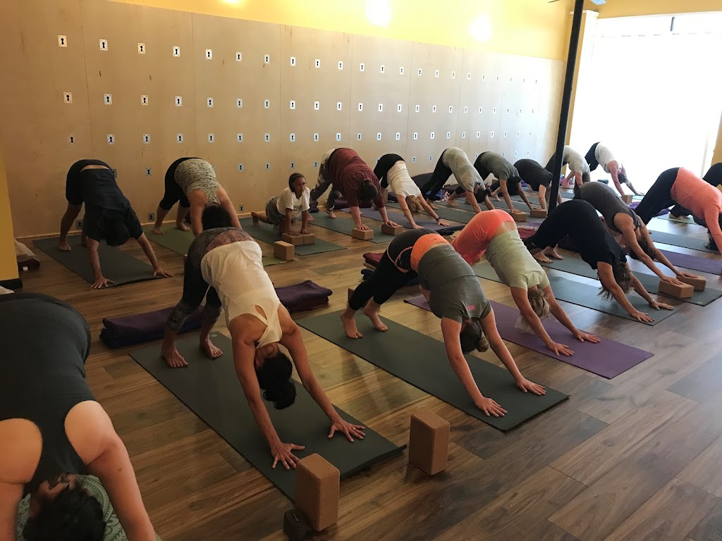 Austin Yoga Tree | 10401 Anderson Mill Rd #105B, Austin, TX 78750, USA | Phone: (512) 887-8807