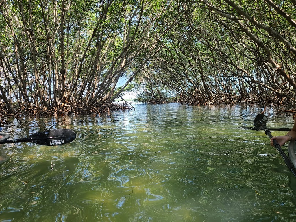 Get Up and Go Kayaking - Shell Key Preserve | 1 Collany Rd, Tierra Verde, FL 33715, USA | Phone: (727) 265-2268