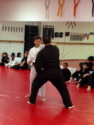 American Karate Academy Cedar Hill | 223 FM1382, Cedar Hill, TX 75104, USA | Phone: (972) 291-1086