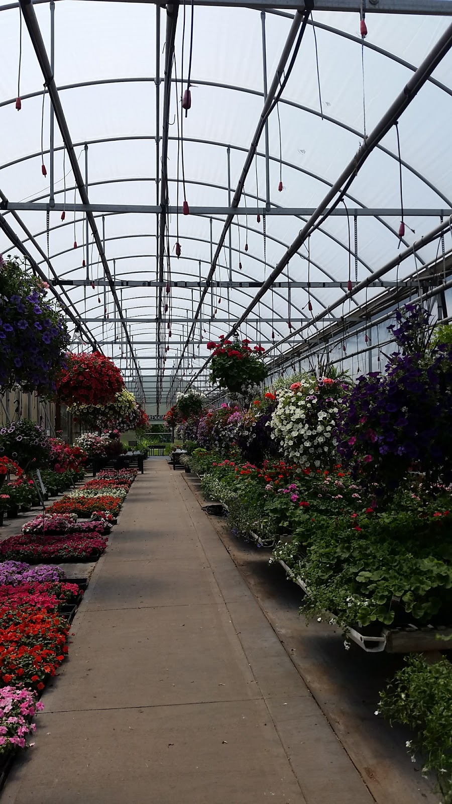 Kerns Florist and Greenhouse | 2438 Canton Rd, Akron, OH 44312, USA | Phone: (330) 699-6529