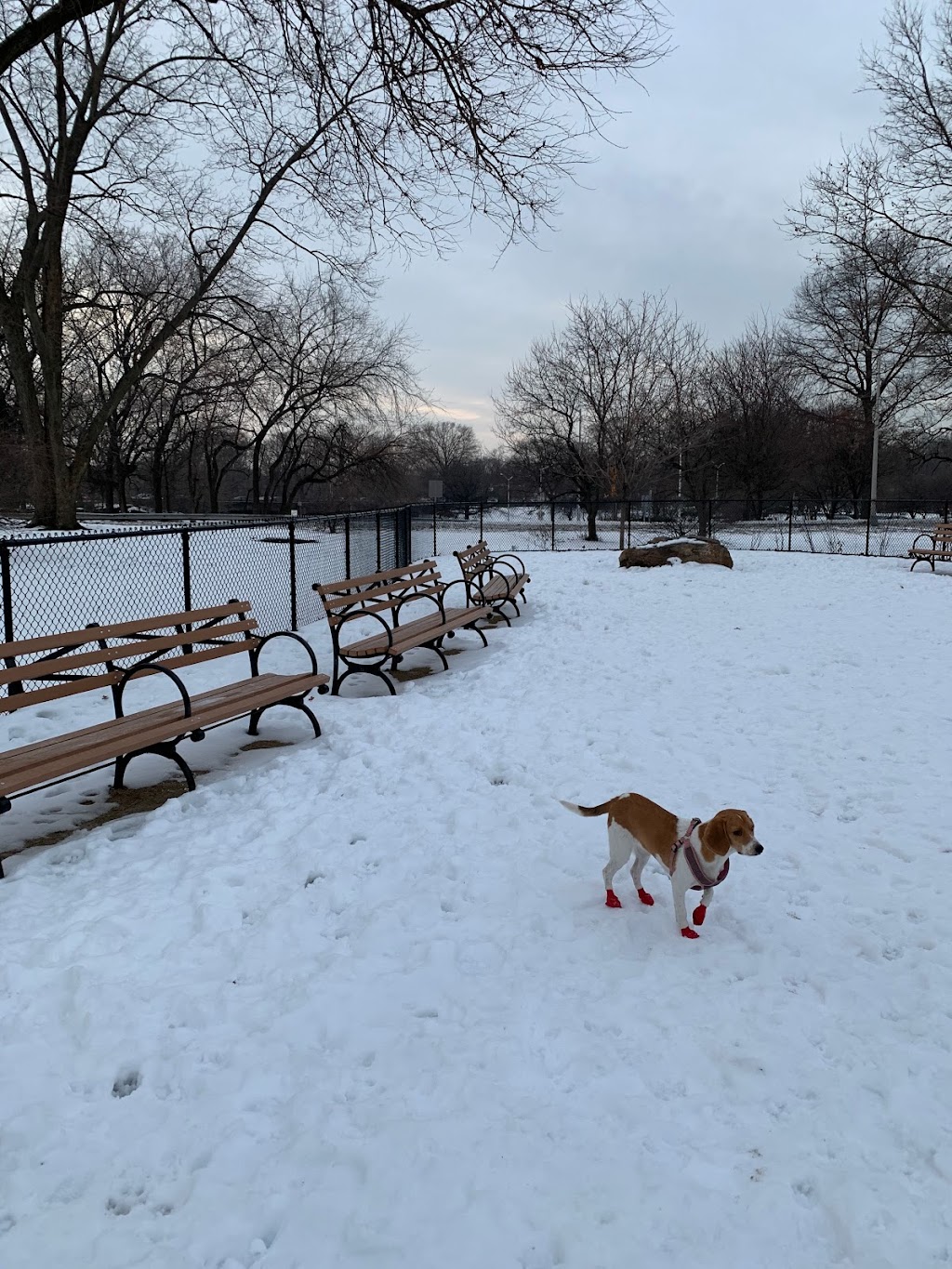 Bronx River Park Dog Run | Bronx Park East &, Boston Rd, Bronx, NY 10462, USA | Phone: (212) 639-9675