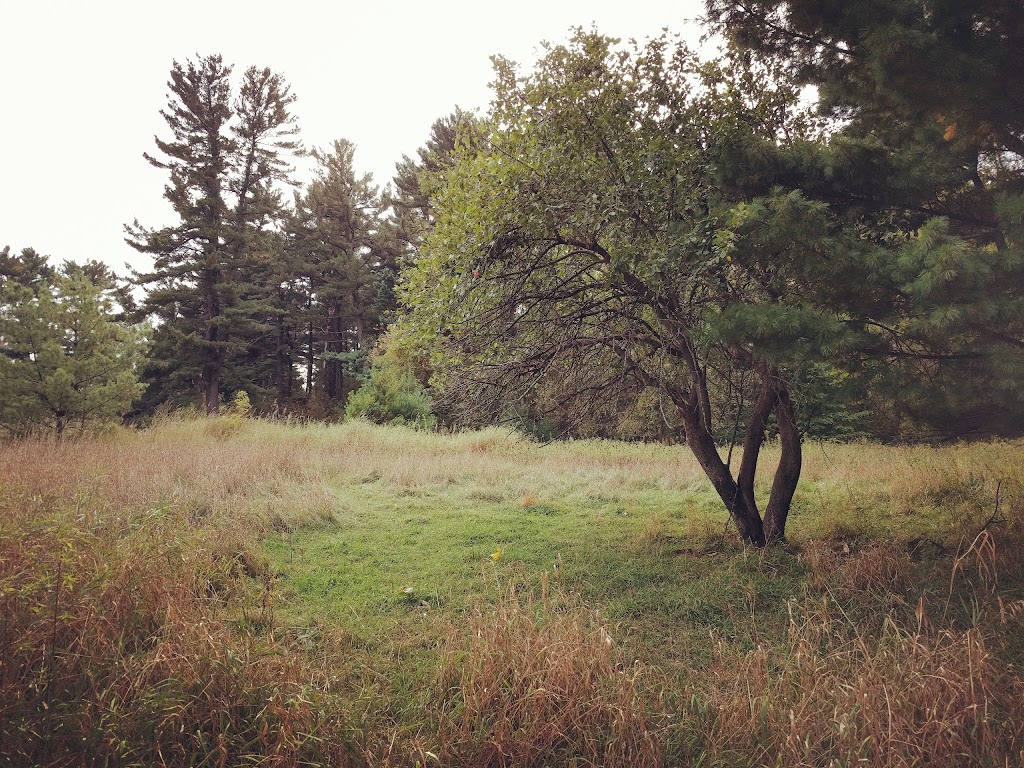 Boot Lake Scientific and Natural Area (SNA) | Jodrell St NE, Wyoming, MN 55092 | Phone: (651) 259-5800