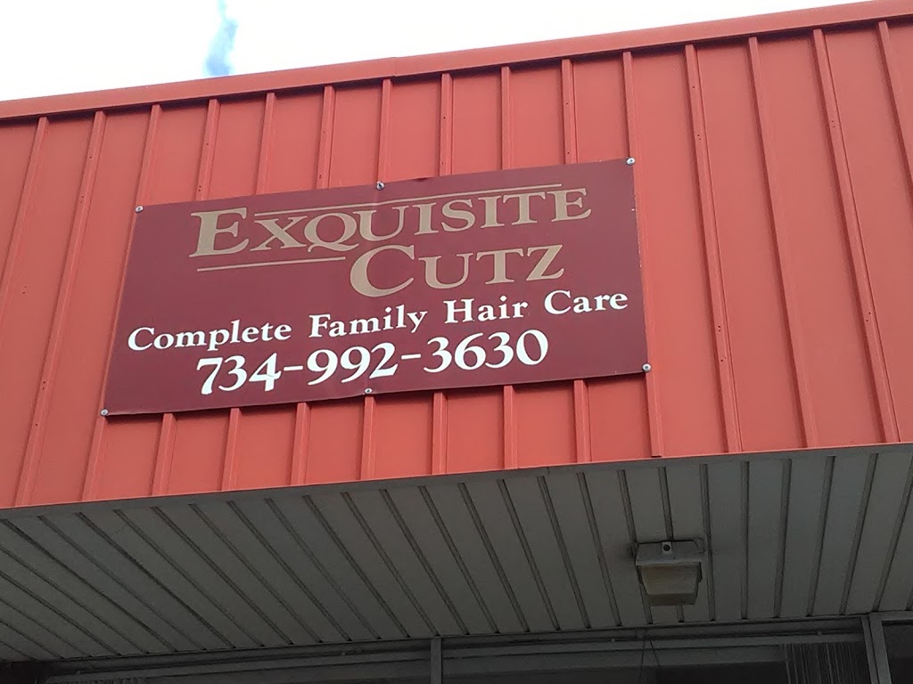 Exquisite Cutz | 9223 Wayne Rd, Romulus, MI 48174, USA | Phone: (734) 992-3630