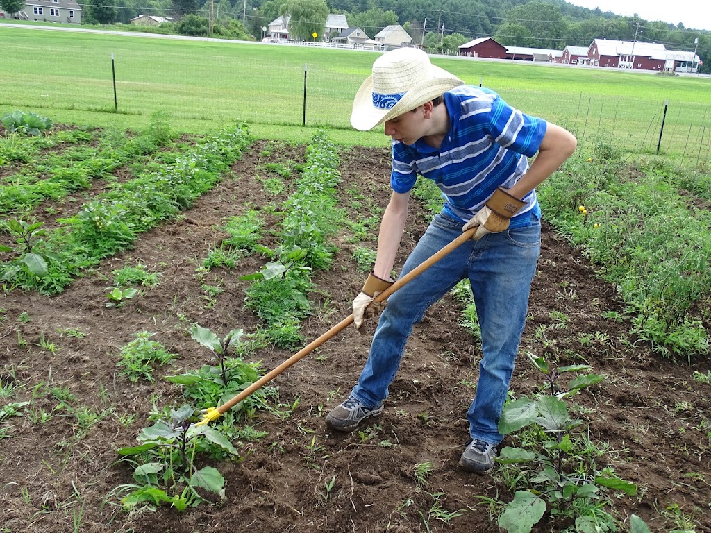 Cornell Cooperative Extension Warren County | 377 Schroon River Rd, Warrensburg, NY 12885, USA | Phone: (518) 668-4881