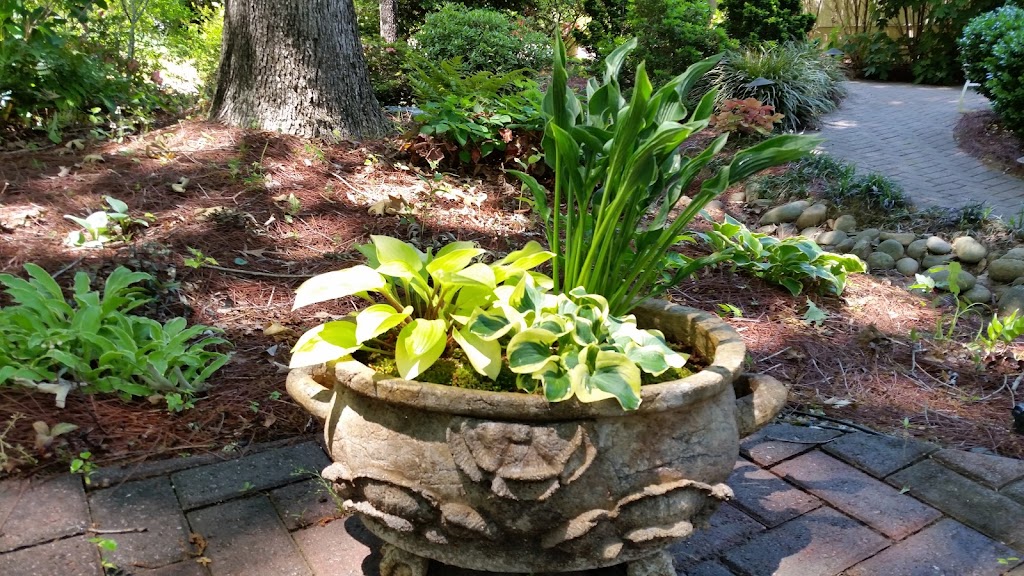 Pine Forest Gardens Hosta Nursery | 556 Ellison Rd, Tyrone, GA 30290, USA | Phone: (770) 487-5036