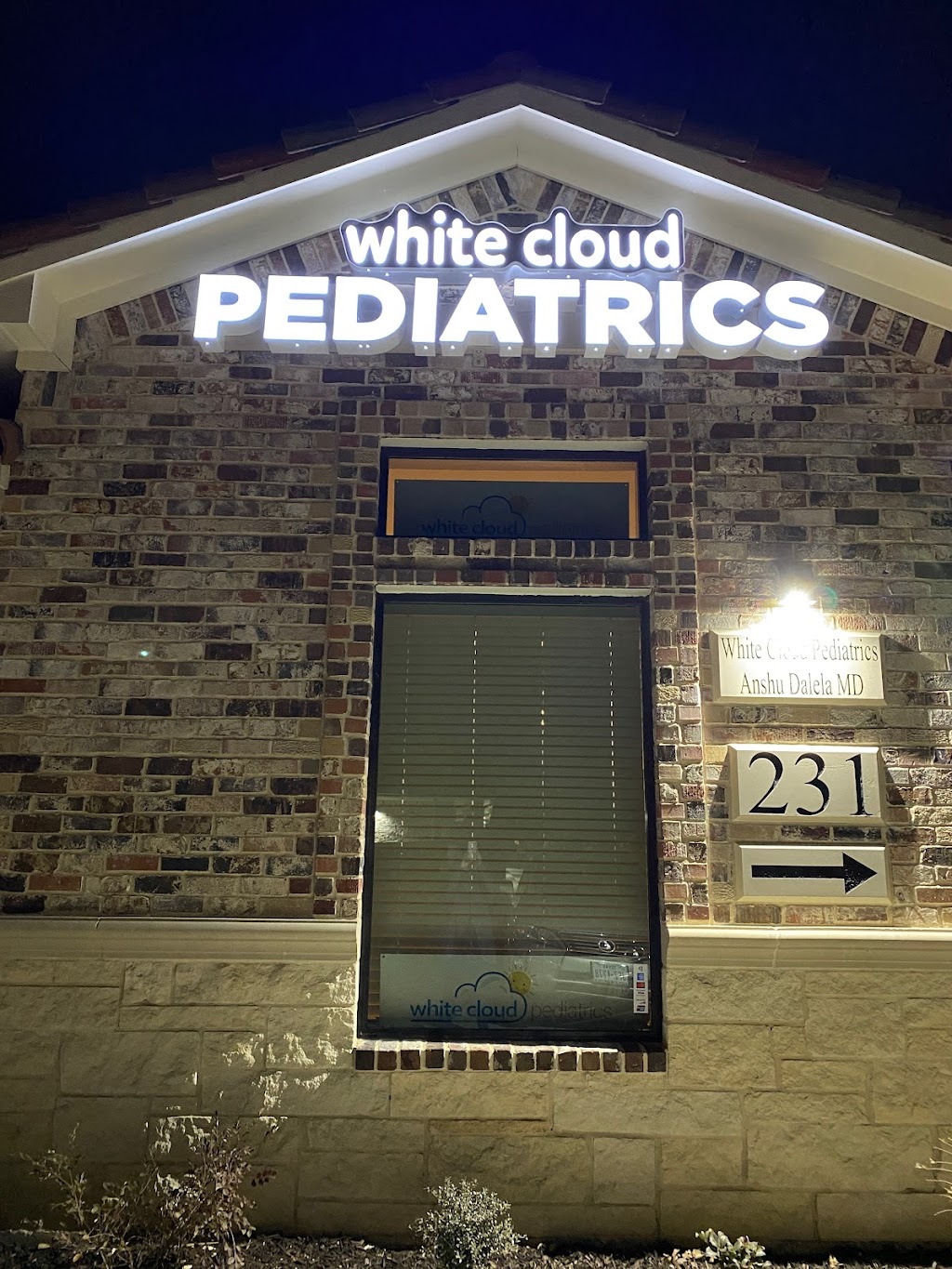 White Cloud Pediatrics | 4909 Golden Triangle Boulevard Suite 231, Fort Worth, TX 76244, USA | Phone: (682) 297-5437