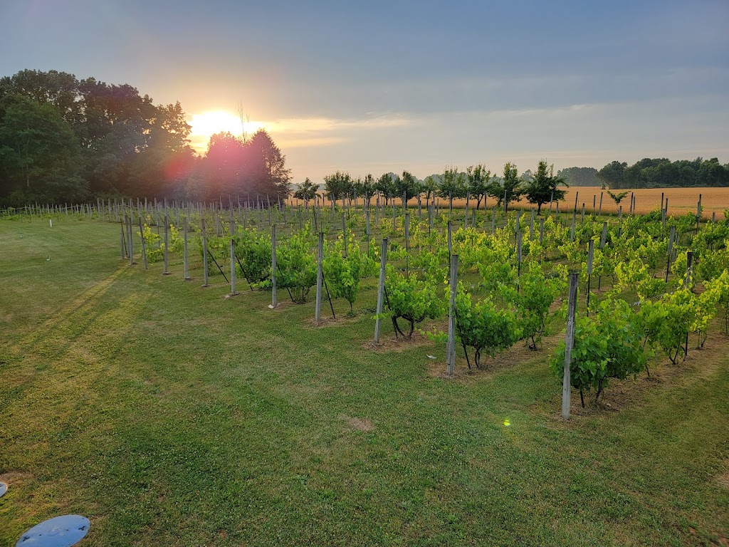 Sandhill Crane Vineyards | 4724 Walz Rd, Jackson, MI 49201, USA | Phone: (517) 764-0679