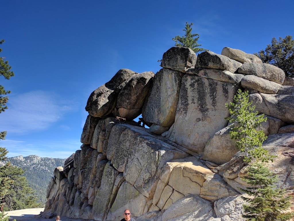 Boulder Basin Campground | Black Moutain Trail, Banning, CA 92220, USA | Phone: (909) 382-2921