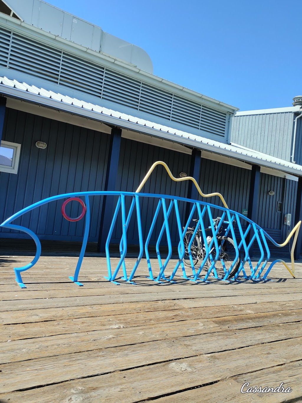 Rays Boathouse | 6049 Seaview Ave NW, Seattle, WA 98107, USA | Phone: (206) 789-3770