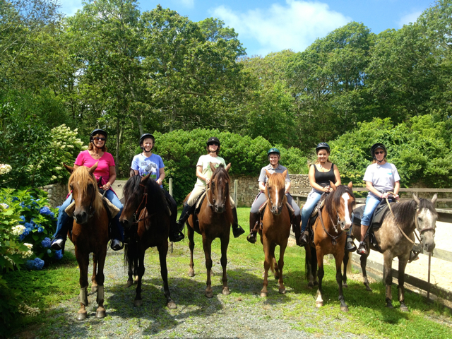 Esperanza Riding Company | 3259 Eyreville Dr, Cape Charles, VA 23310, USA | Phone: (757) 695-0550