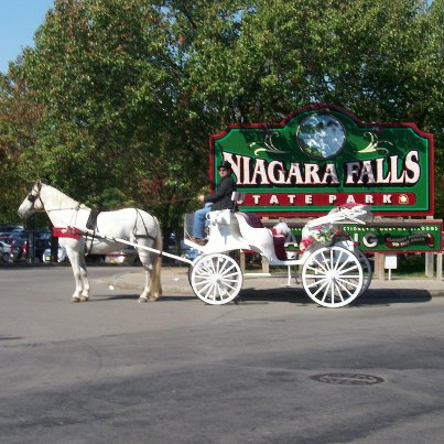 International Weddings & Carriage Rides | 1767 Ridge Rd, Lewiston, NY 14092, USA | Phone: (716) 754-7405