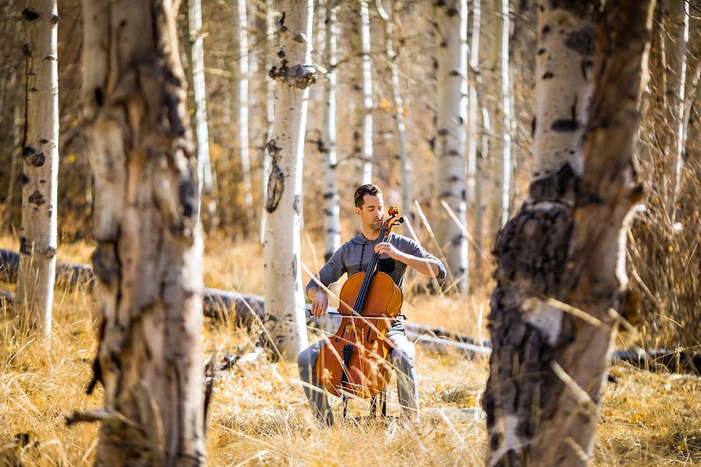 Shauns Cello Studio | 1210 Linden Ave #B, Boulder, CO 80304, USA | Phone: (509) 393-0343